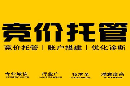 某品牌sem竞价托管代运营的精彩瞬间